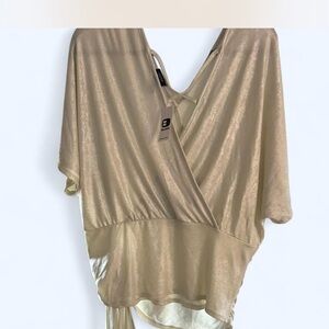 Daytrip Shimmering Metallic Blouse